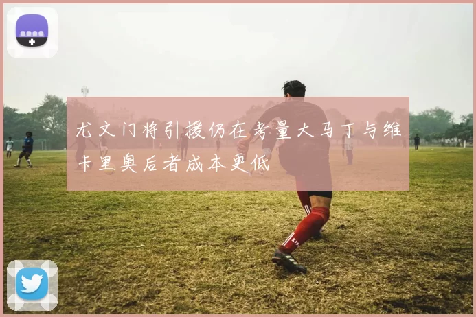 尤文门将引援仍在考量大马丁与维卡里奥后者成本更低